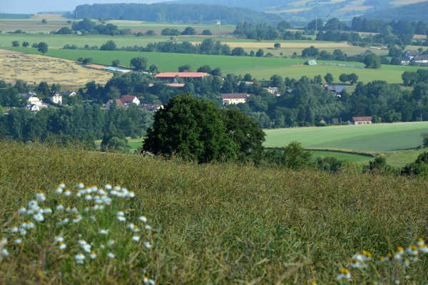 Blick auf den Bergho